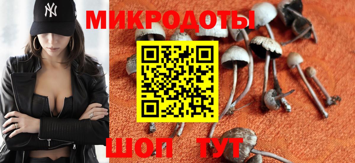 Шадринск  Псилоцибиновые грибы Psilocybine cubensis  Вход с VPN 